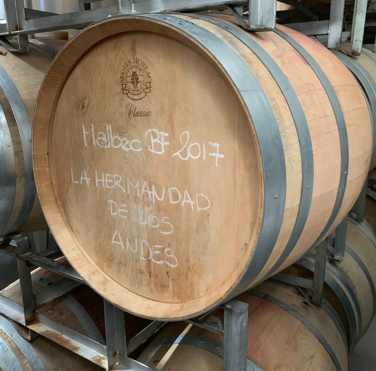 Hermandad wine barrels